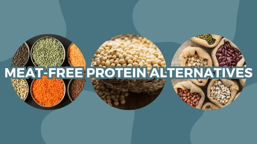Meat-Free Protein Alternatives For Your Diet